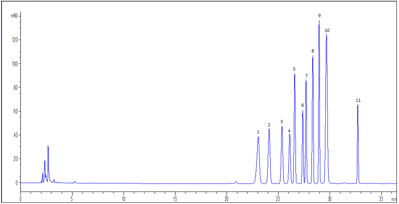图3. 11种待测化学成分的混合标准溶液色谱图（流动相II）.png